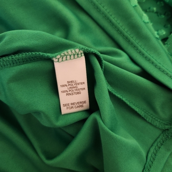 Cato swiss dot Blouse, sz 22/24 kelly green peasant fairy lagenlook oversized - Picture 7 of 10